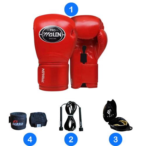 Pack Boxing/Kickboxing Wolon Pro