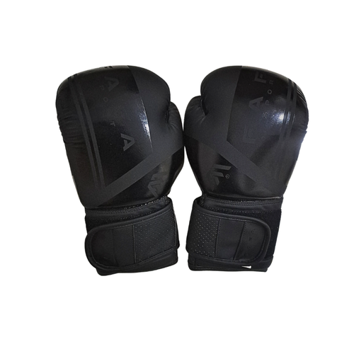 Pack Boxing Complet 6x1